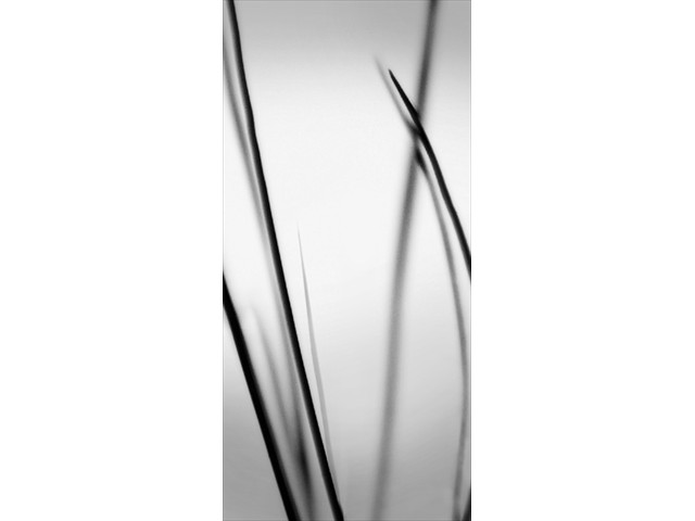 013 HILTON_RICHMOND_SHORT_PUMP_GUEST_ROOM_ART